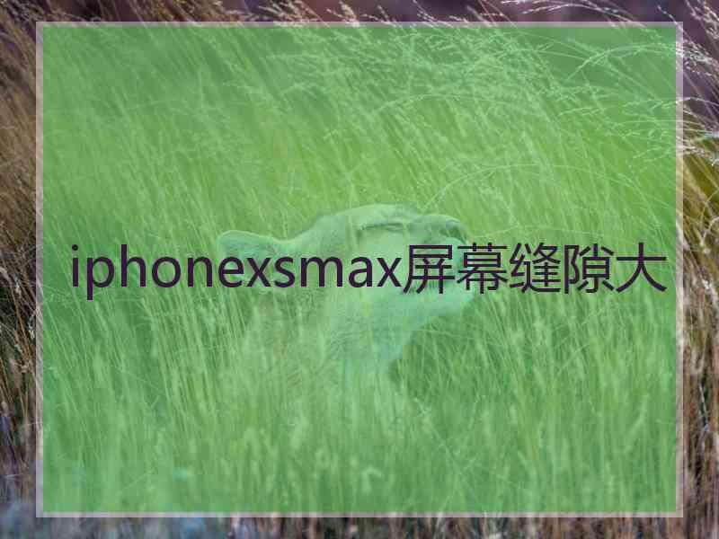 iphonexsmax屏幕缝隙大