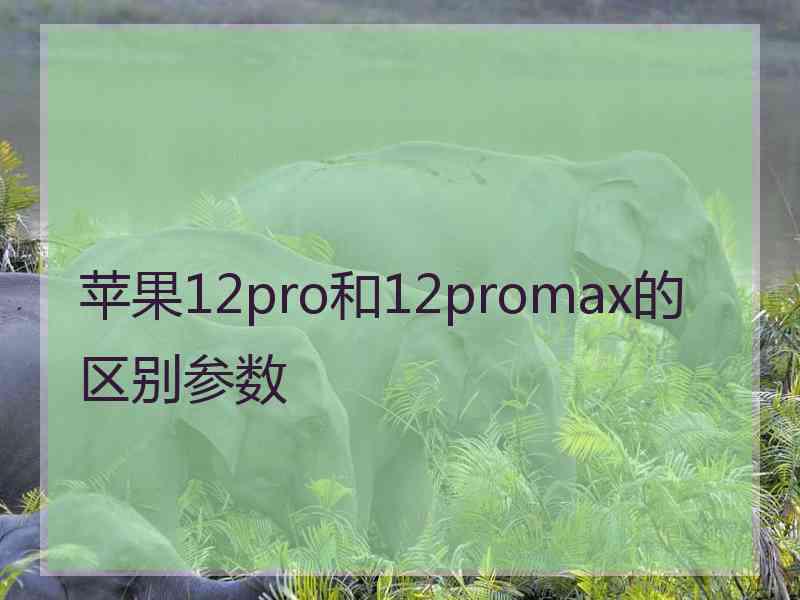 苹果12pro和12promax的区别参数