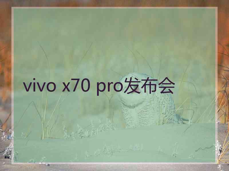 vivo x70 pro发布会