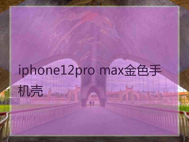 iphone12pro max金色手机壳