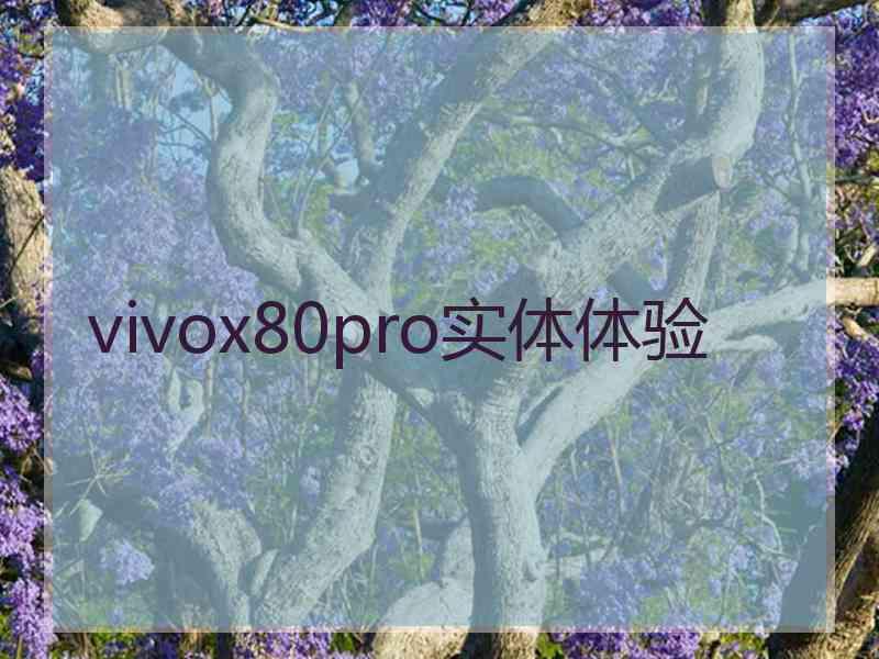 vivox80pro实体体验