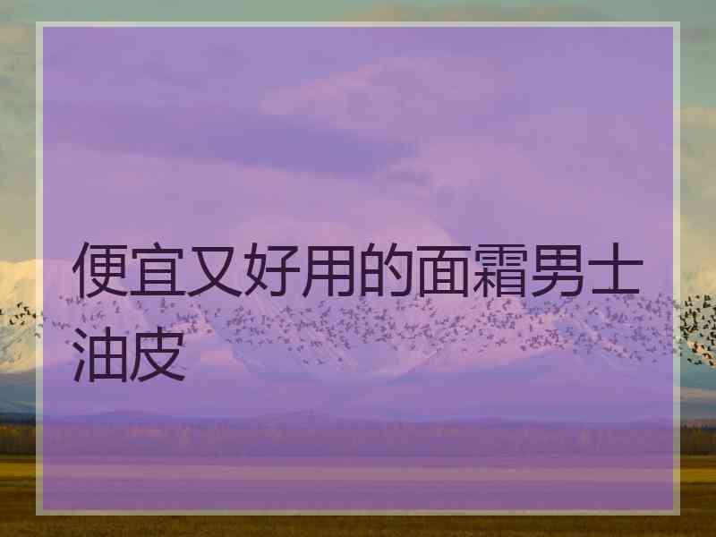 便宜又好用的面霜男士油皮
