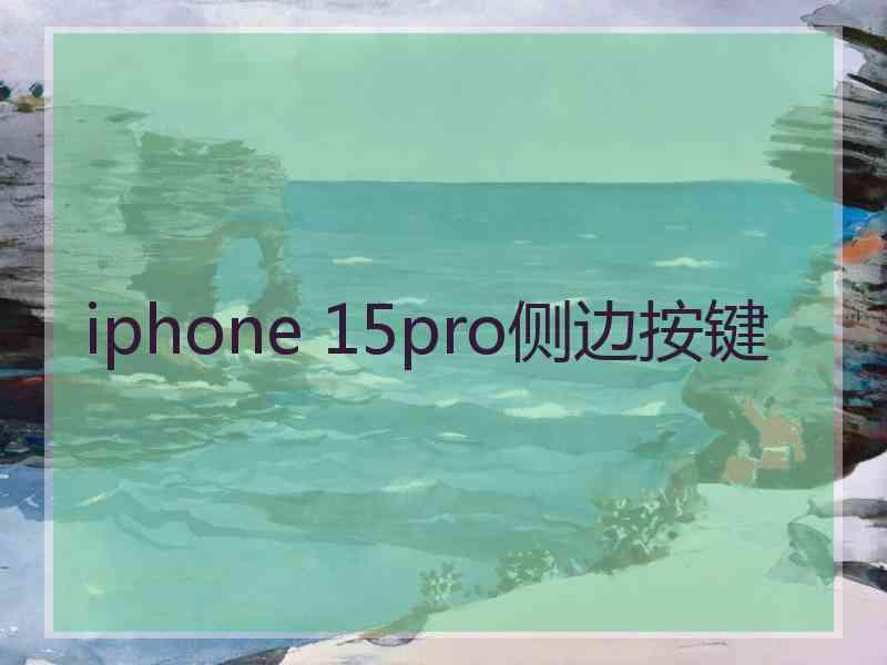 iphone 15pro侧边按键