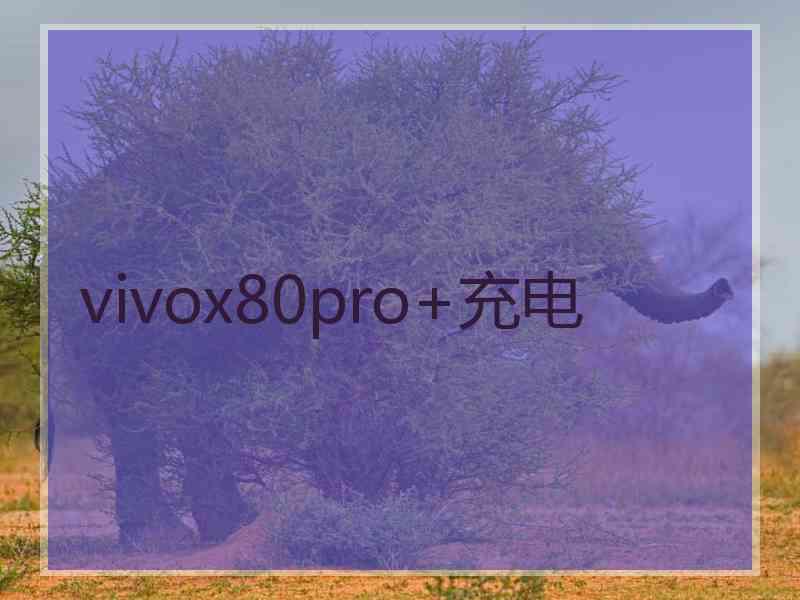 vivox80pro+充电