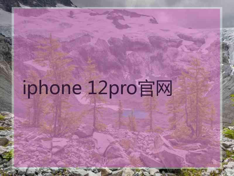 iphone 12pro官网