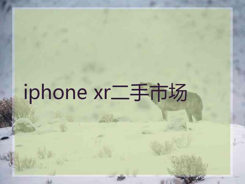 iphone xr二手市场