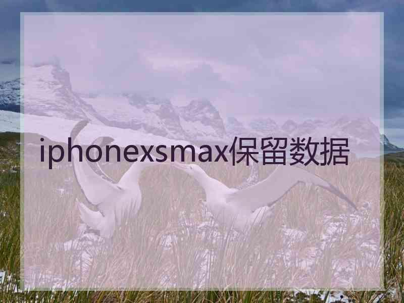 iphonexsmax保留数据