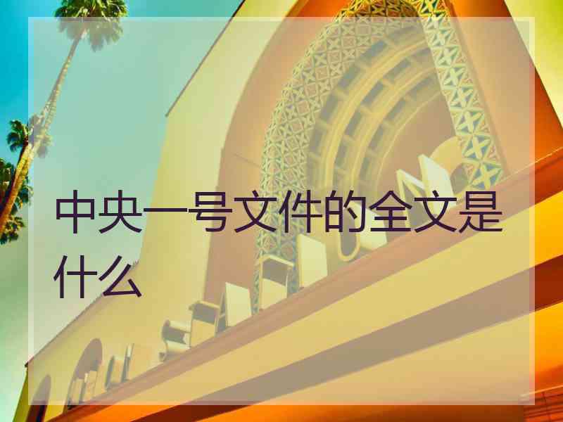 中央一号文件的全文是什么