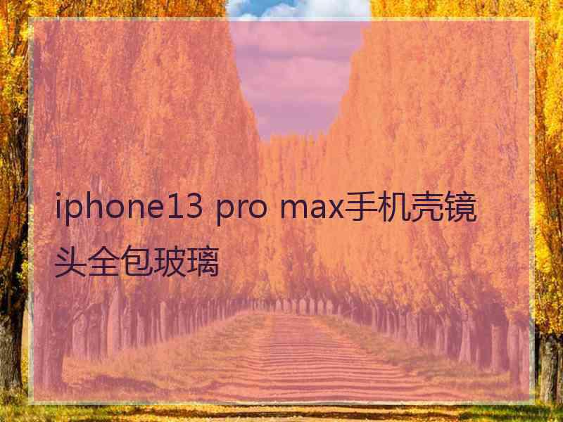 iphone13 pro max手机壳镜头全包玻璃