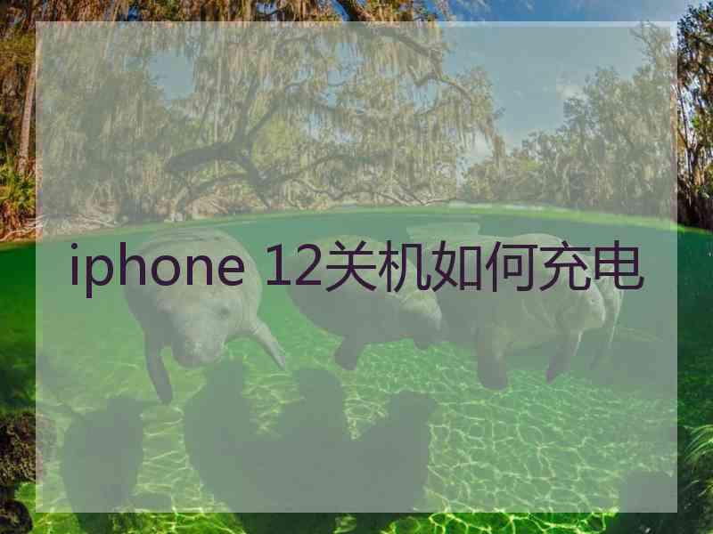 iphone 12关机如何充电