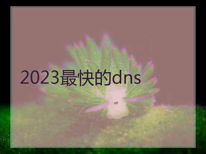 2023最快的dns