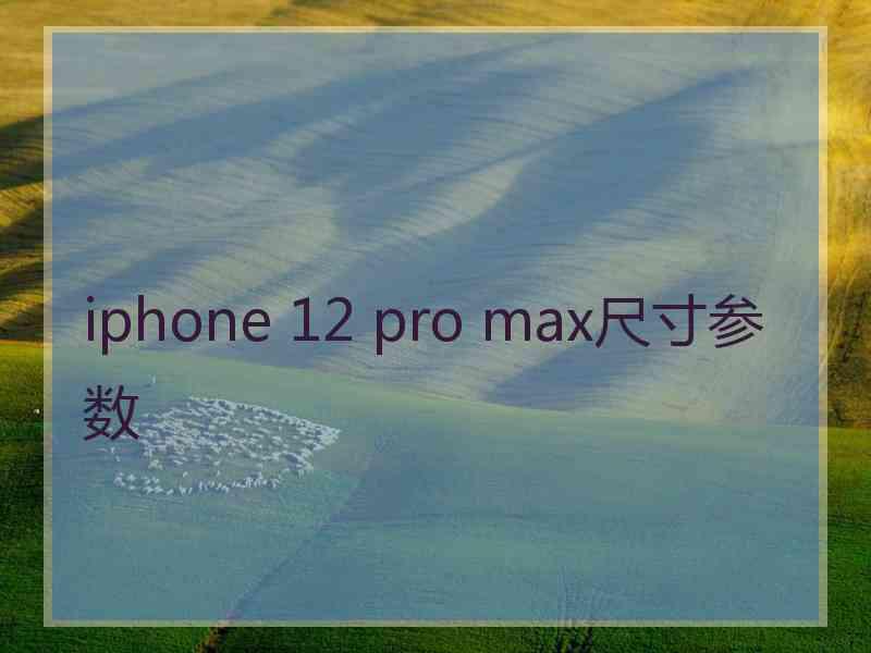 iphone 12 pro max尺寸参数