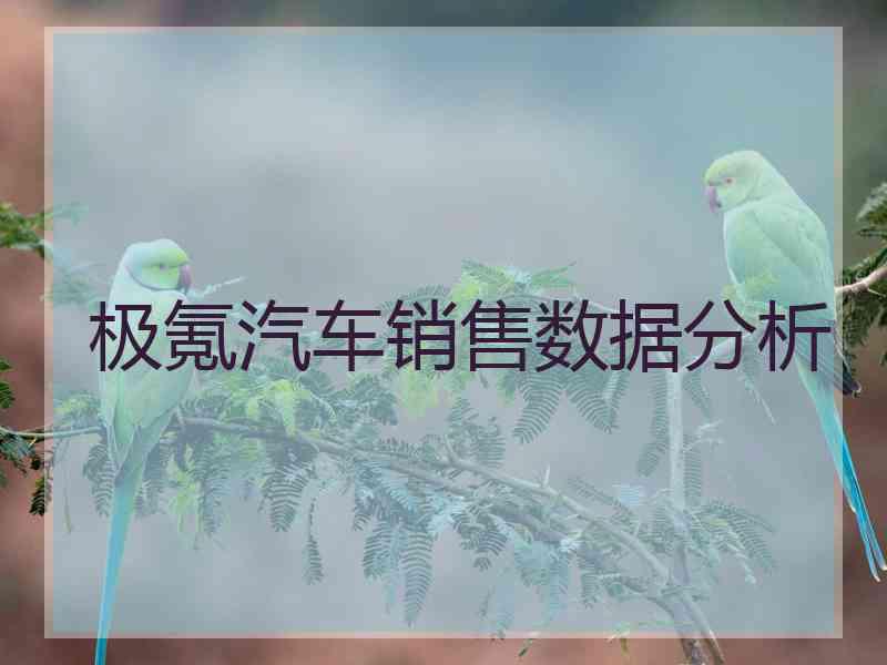 极氪汽车销售数据分析