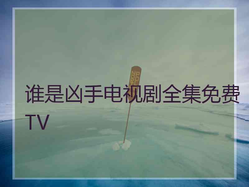 谁是凶手电视剧全集免费TV