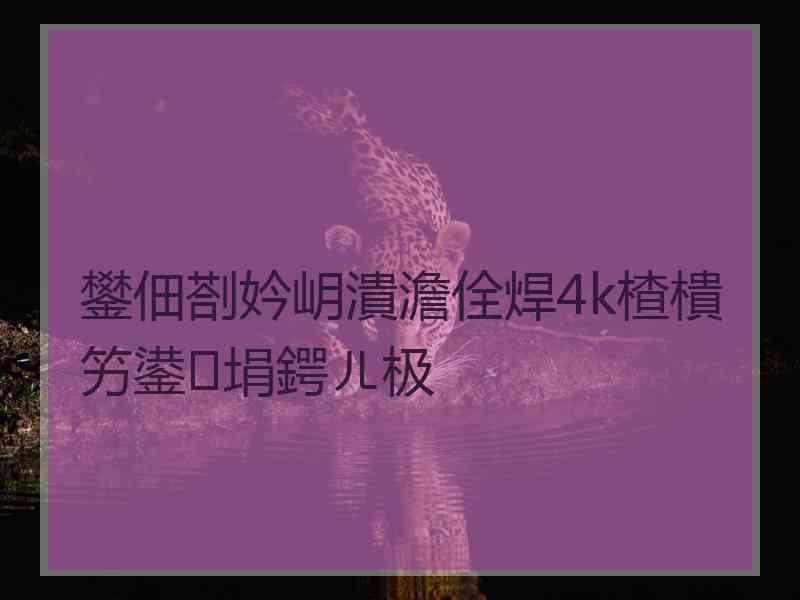 鐢佃剳妗岄潰澹佺焊4k楂樻竻鍙埍鍔ㄦ极