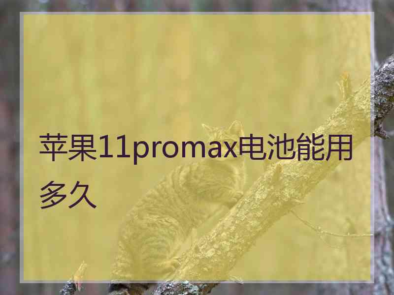 苹果11promax电池能用多久