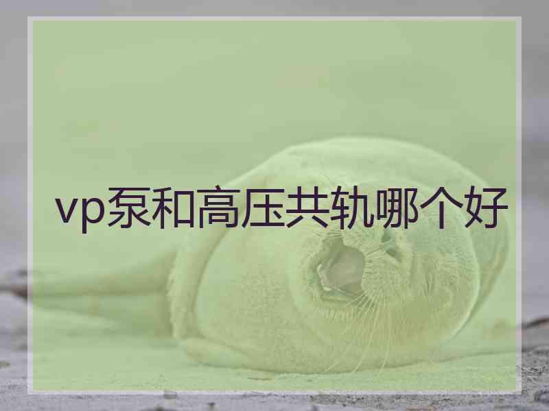 vp泵和高压共轨哪个好