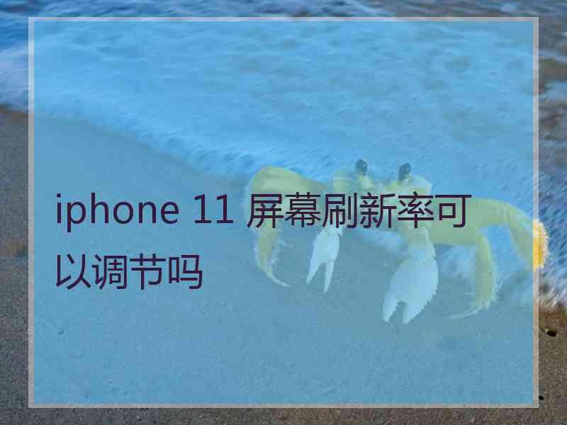 iphone 11 屏幕刷新率可以调节吗