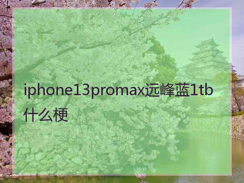 iphone13promax远峰蓝1tb什么梗