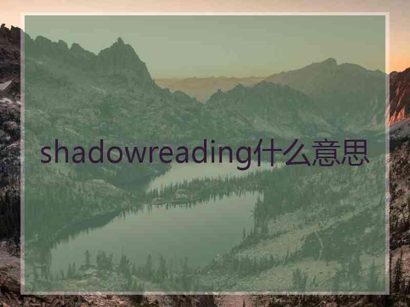 shadowreading什么意思