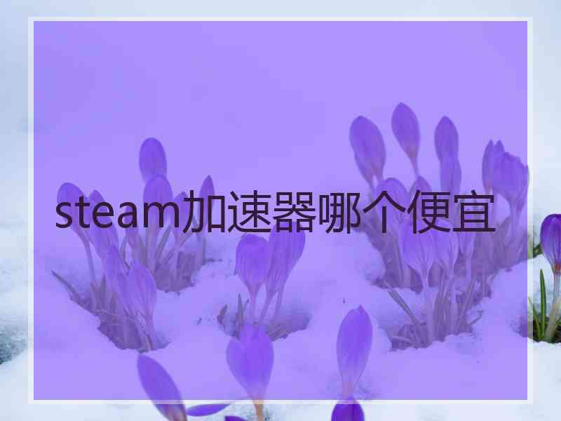 steam加速器哪个便宜