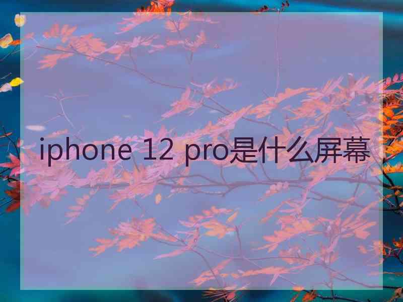 iphone 12 pro是什么屏幕