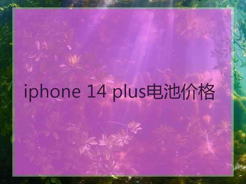 iphone 14 plus电池价格