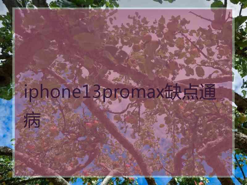 iphone13promax缺点通病