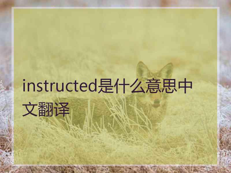 instructed是什么意思中文翻译