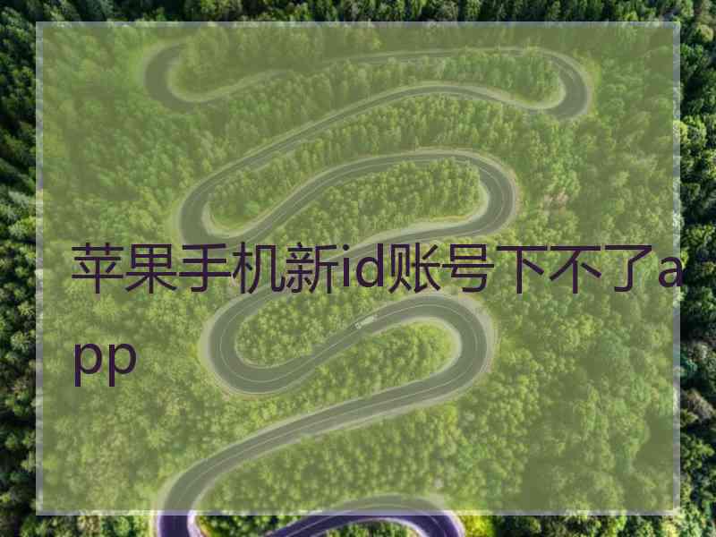 苹果手机新id账号下不了app