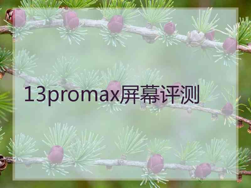 13promax屏幕评测