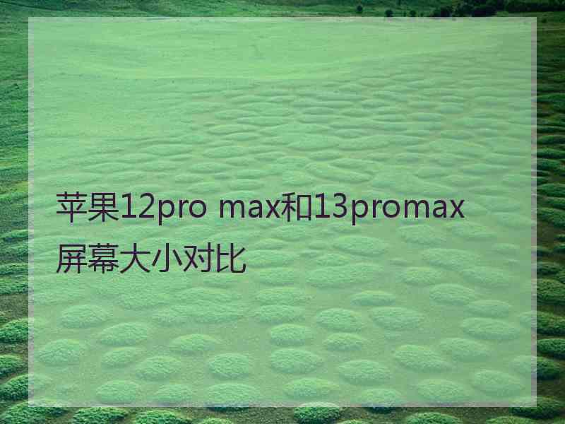 苹果12pro max和13promax屏幕大小对比