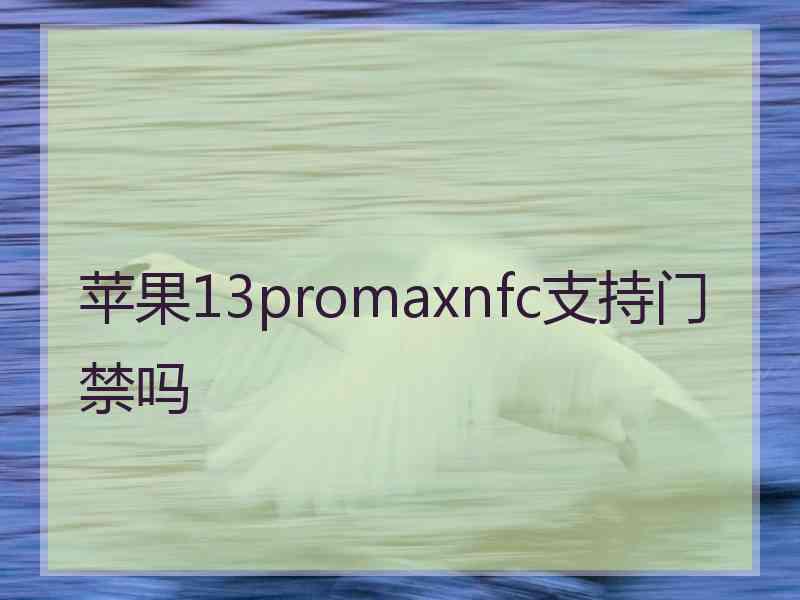 苹果13promaxnfc支持门禁吗