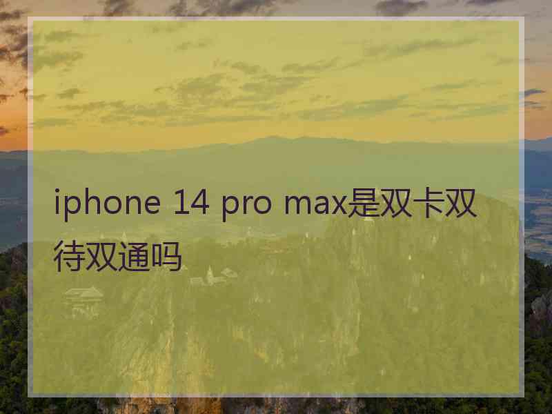 iphone 14 pro max是双卡双待双通吗