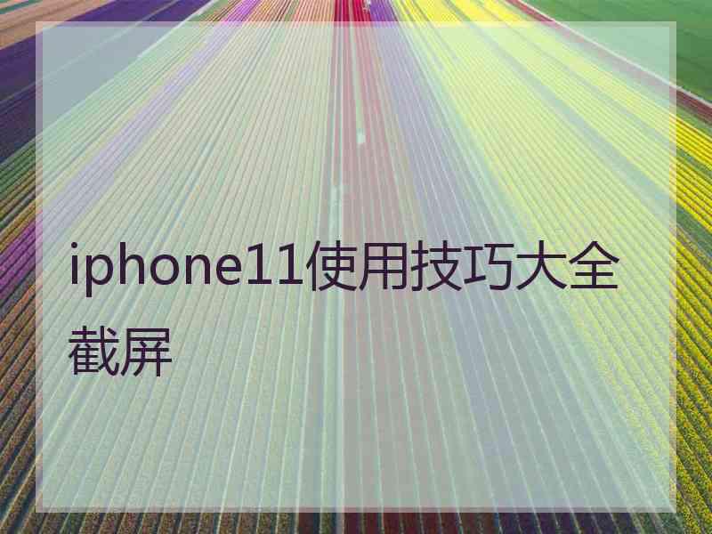 iphone11使用技巧大全截屏