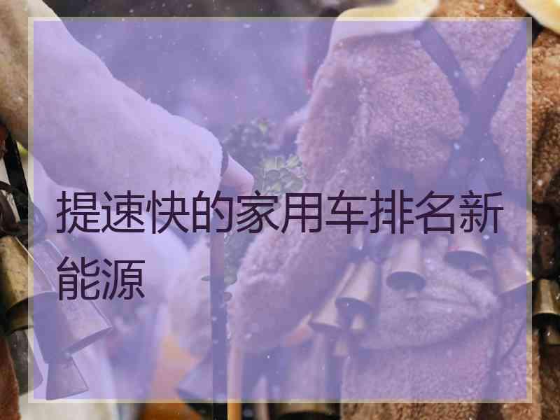 提速快的家用车排名新能源