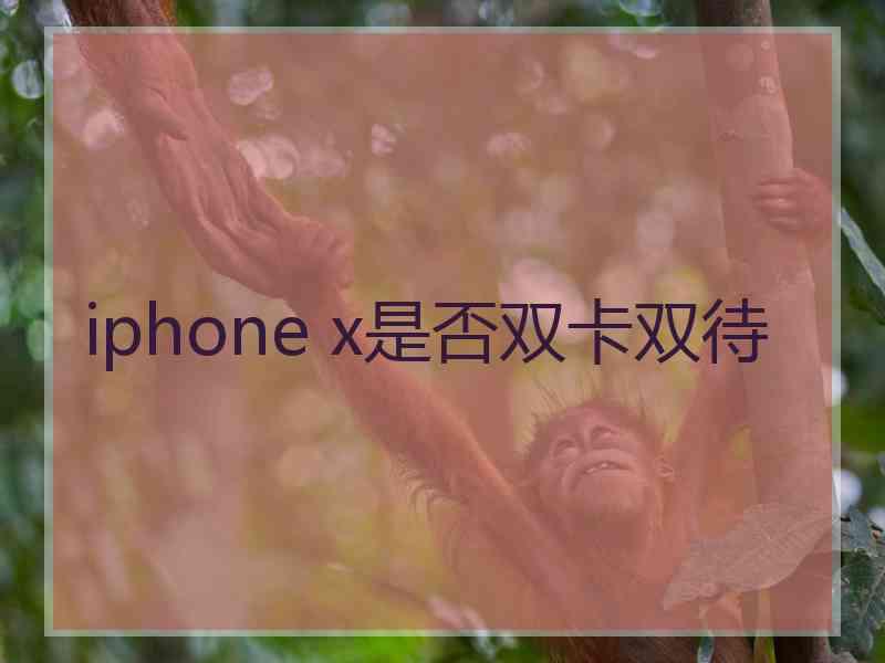 iphone x是否双卡双待