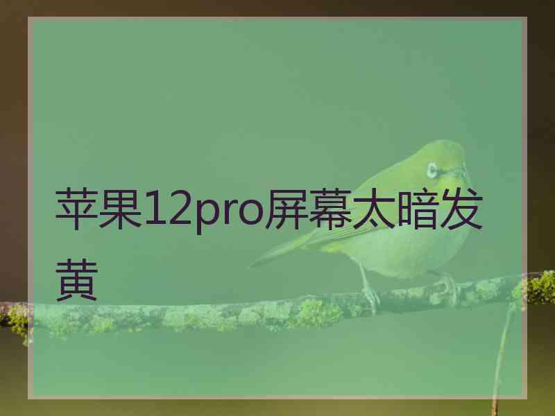 苹果12pro屏幕太暗发黄