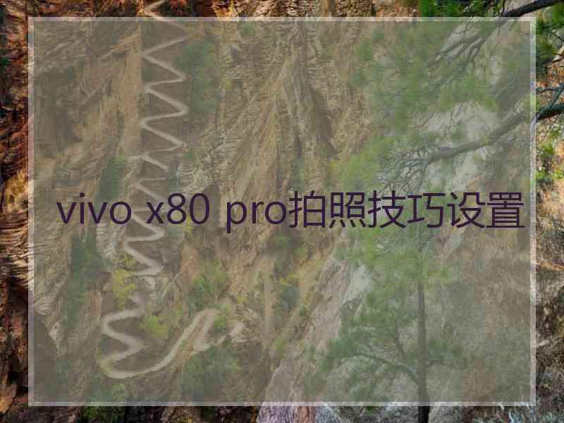 vivo x80 pro拍照技巧设置