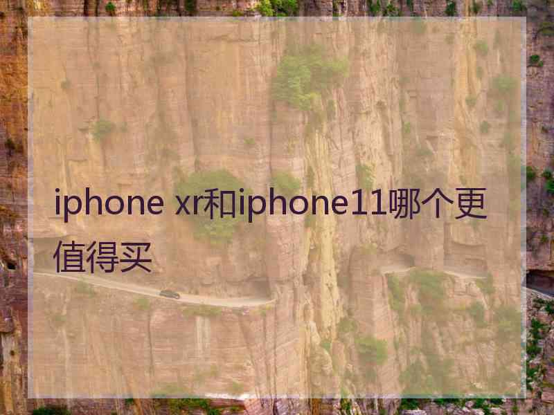 iphone xr和iphone11哪个更值得买