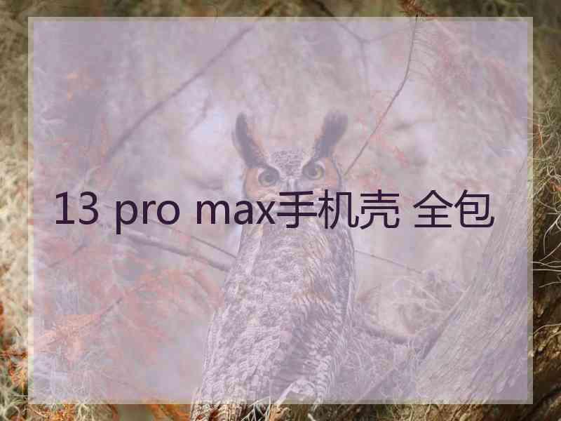 13 pro max手机壳 全包