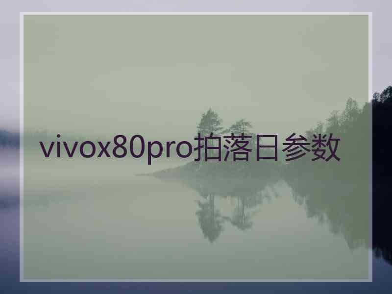 vivox80pro拍落日参数