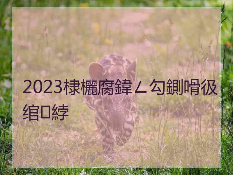 2023棣欐腐鍏ㄥ勾鍘嗗彶绾綍