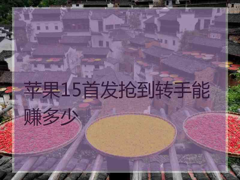 苹果15首发抢到转手能赚多少