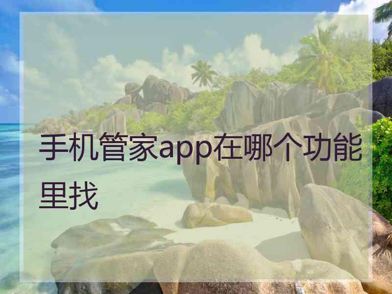 手机管家app在哪个功能里找