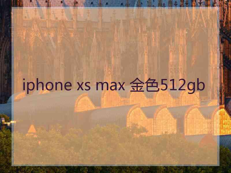 iphone xs max 金色512gb