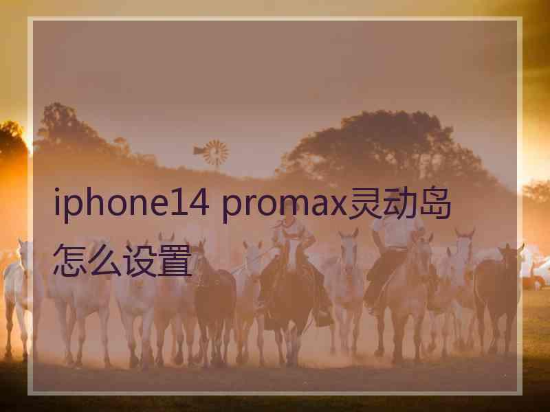 iphone14 promax灵动岛怎么设置