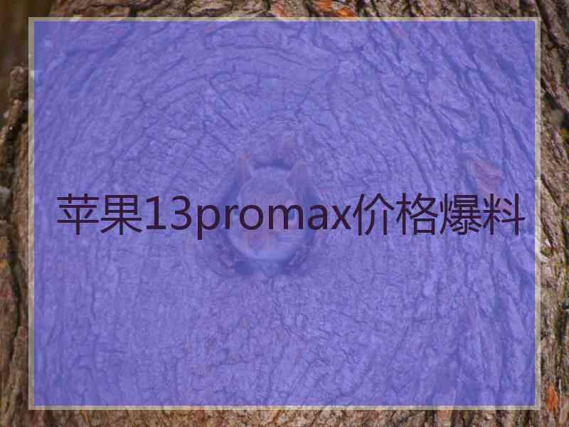 苹果13promax价格爆料