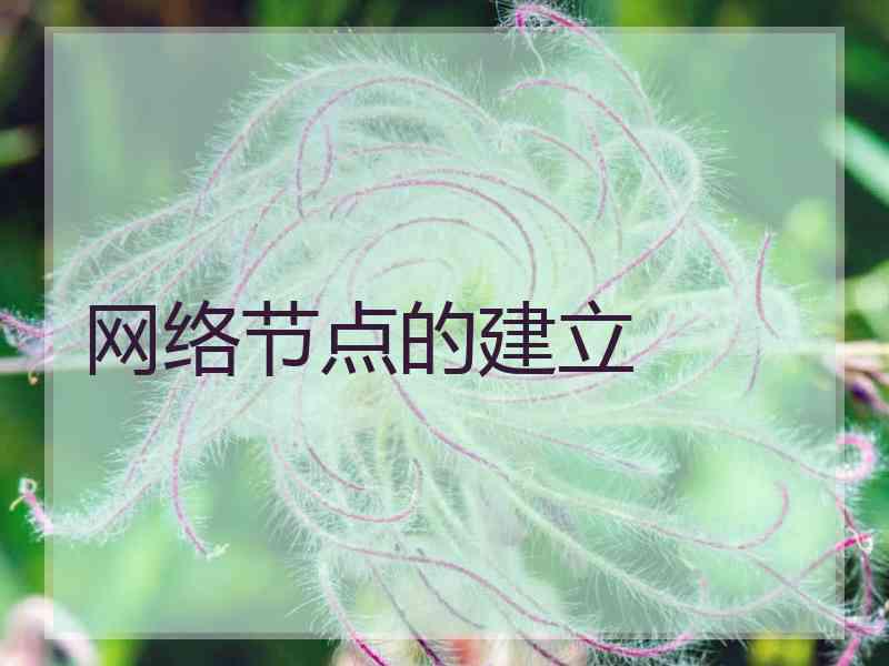 网络节点的建立