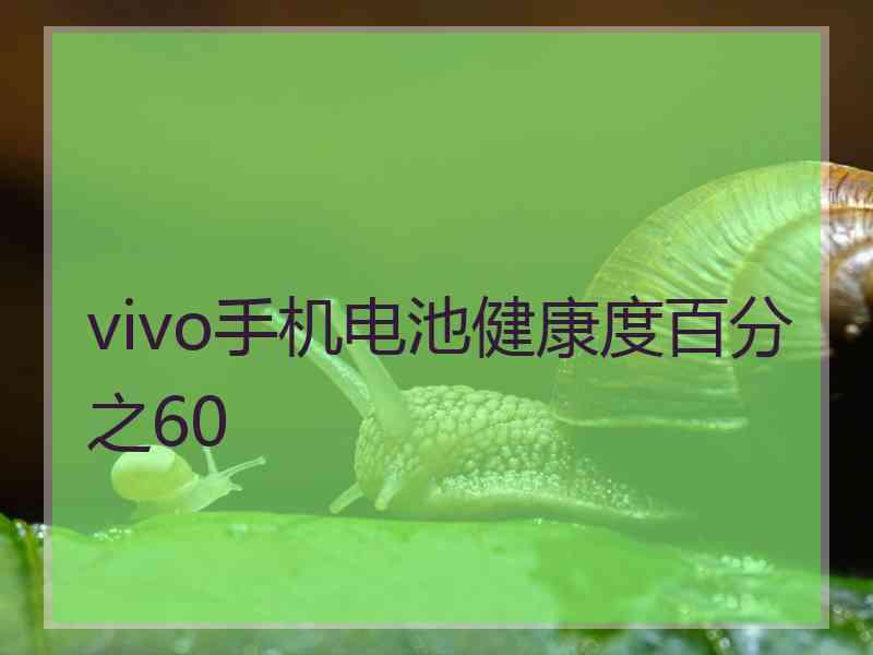 vivo手机电池健康度百分之60